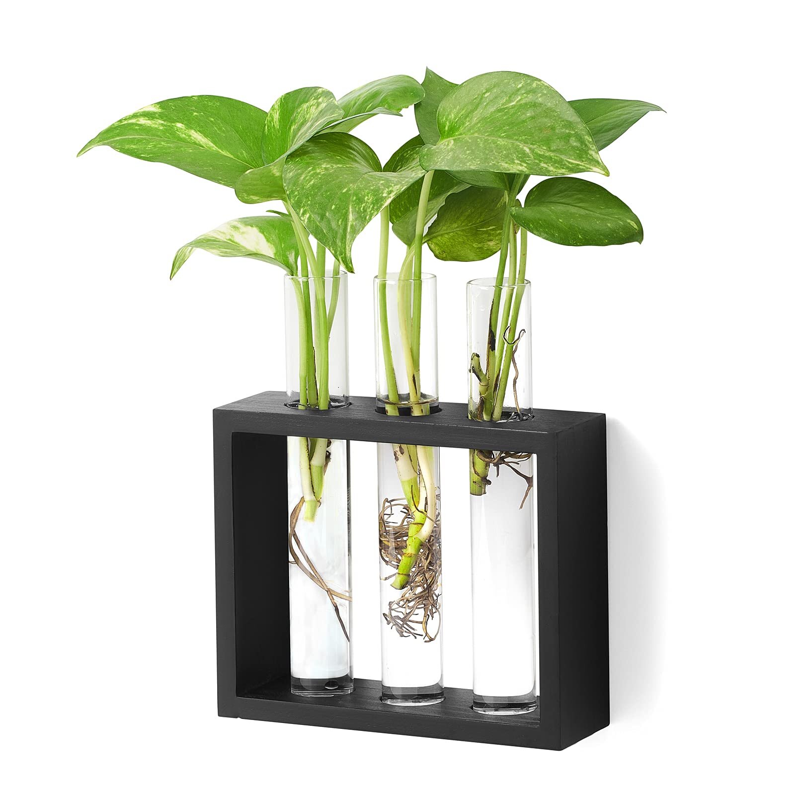 Planter Test Tube Flower Bud Vase Tabletop Glass Terrariumin w/ Stand 1 Vase 