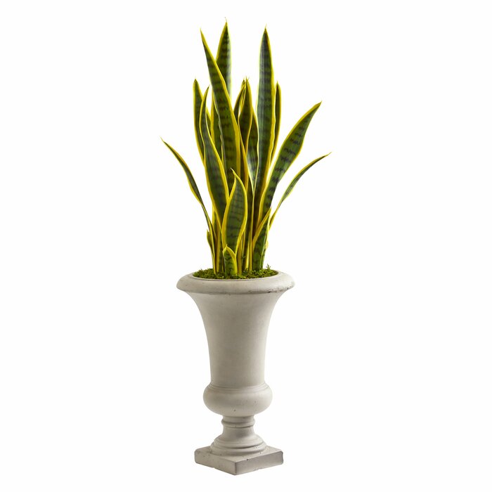 Sansevieria Artificial Snake Plant In Urn