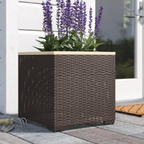 Details about   Flower Pot Planter Rattan Style with InsertHigh Quality6 Sizes3 Colours 