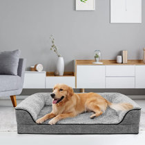 wayfair jackson dog sofa