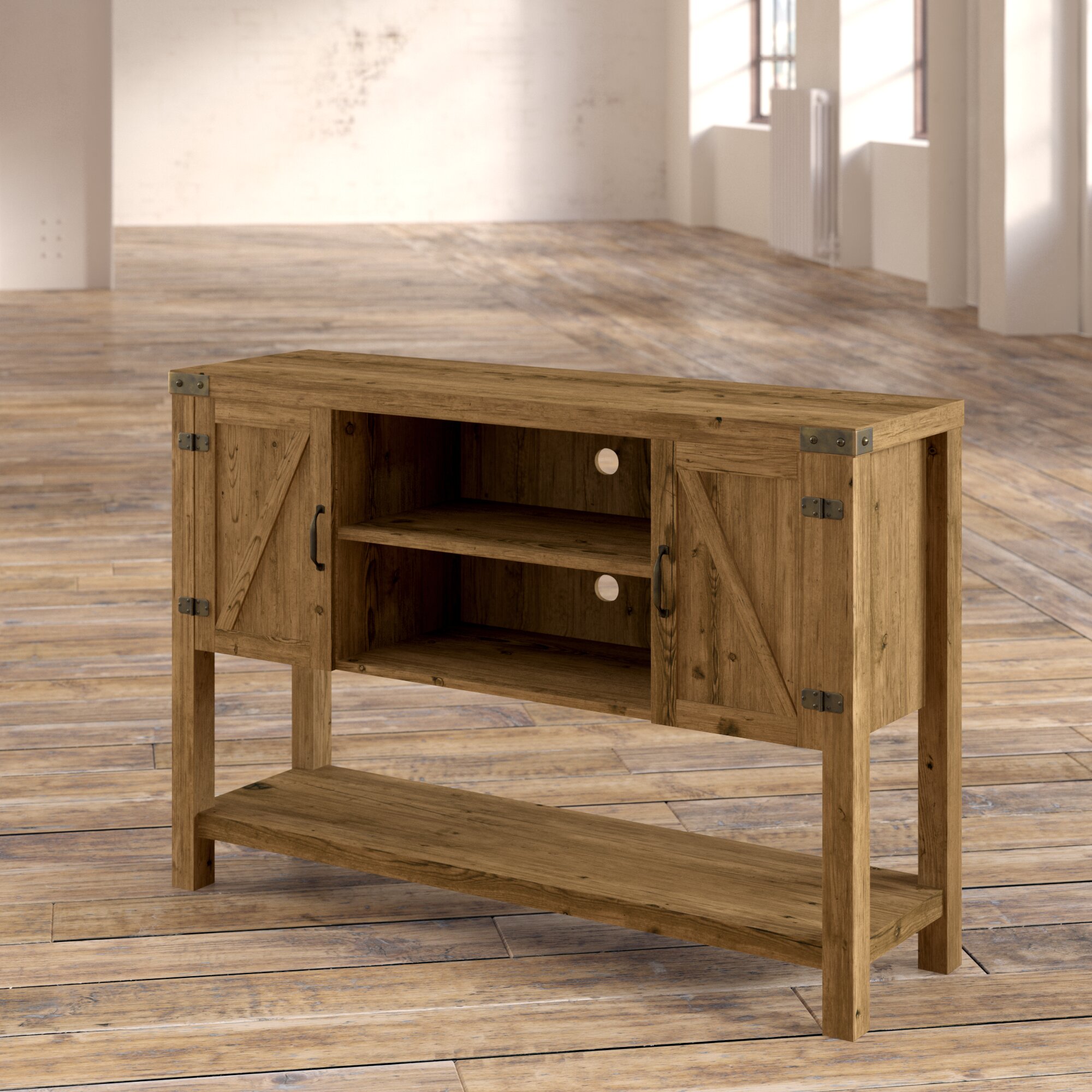 Trent Austin Design Adalberto Cabinet Enclosed Storage Tv Stand