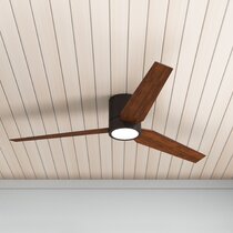 Modern Ceiling Fans Toronto       - Best Outdoor Ceiling Fans 2020 The Strategist : These fans are definitely a great addition to any room or area that has a contemporary and modern setting.