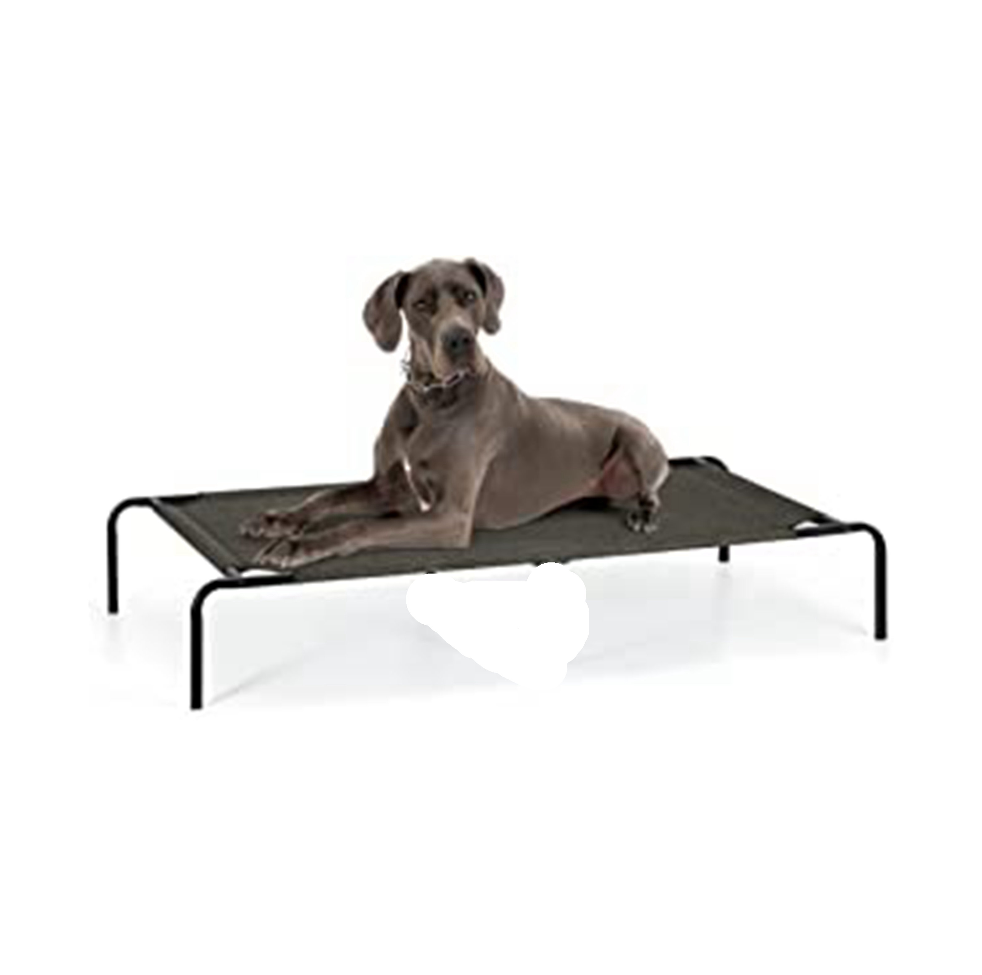 Tucker Murphy Pet™ Elevated Dog Bed Cooling Raised Dog Cot Indoor