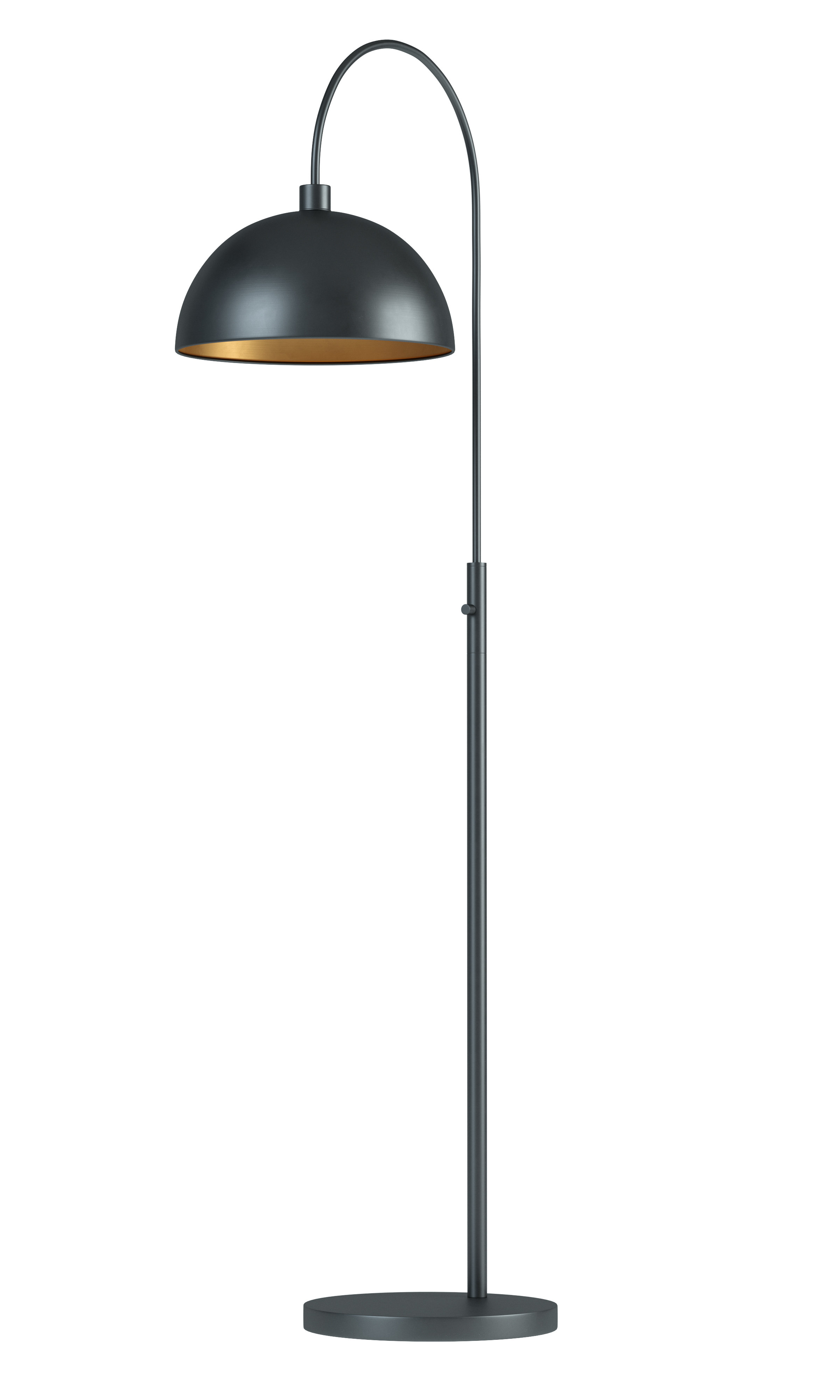 Roberta 72 Arc Floor Lamp Reviews Allmodern