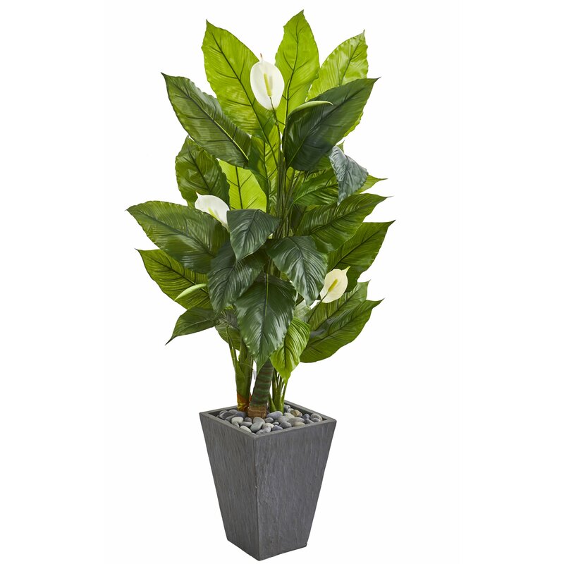 Charlton Home® 63" Artificial Banana Leaf Plant in Planter ...