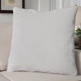 28 X 28 Euro Pillow Insert Wayfair Ca