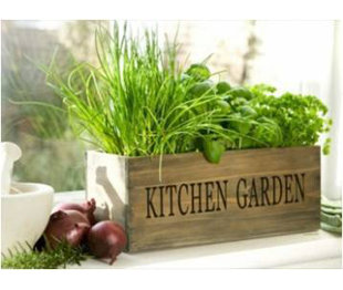 Indoor Window Sill Planters | Wayfair Indoor Window Sill Planters | Wayfair