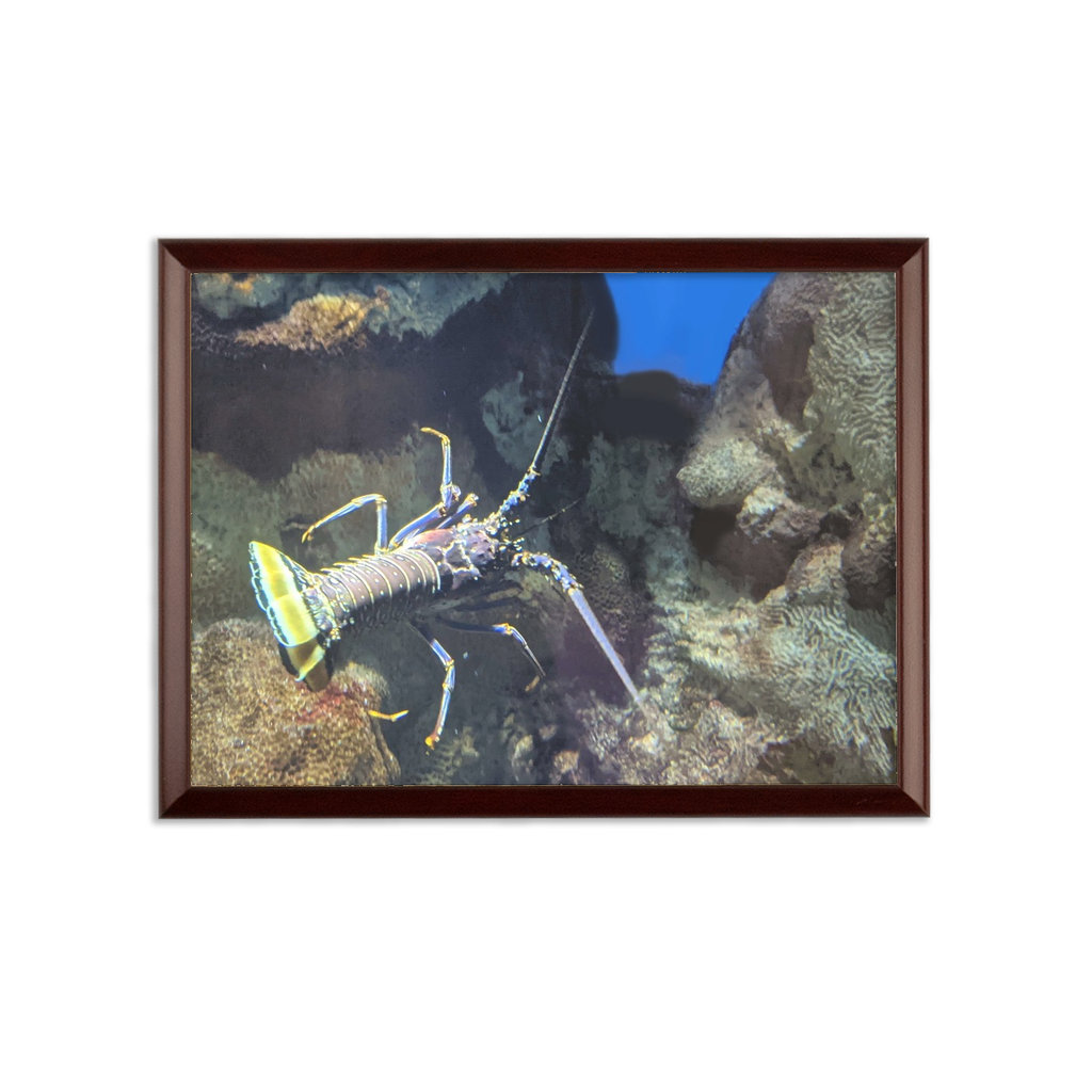 Millwood Pines Lobster by Ansel Adams Picture Frame Photograph Wayfair