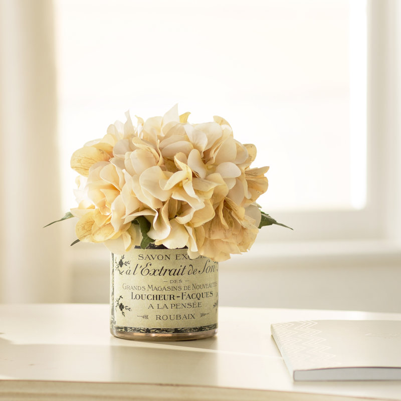Adelaide Hydrangea Floral Arrangement In French Labeled Pot Reviews Birch Lane
