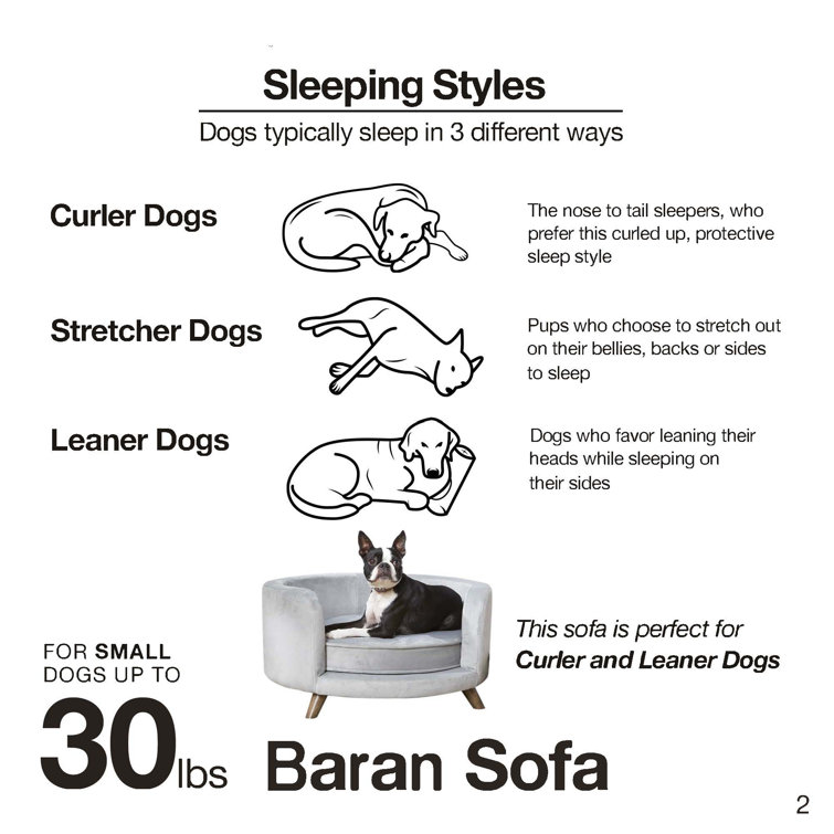 baran dog sofa