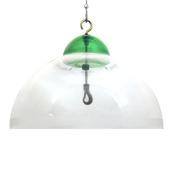Droll Yankees Squirrel Guard Wayfair