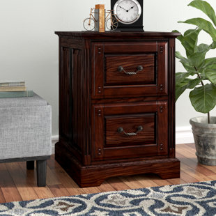 Appleby 2-Drawer Vertical Filing Cabinet by Darby Home Co