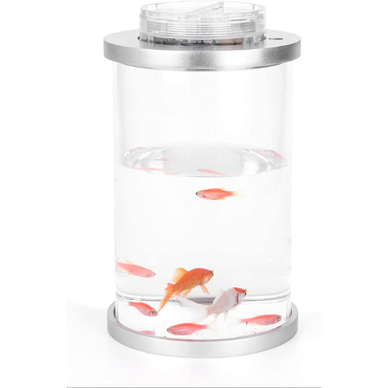 half gallon fish tank