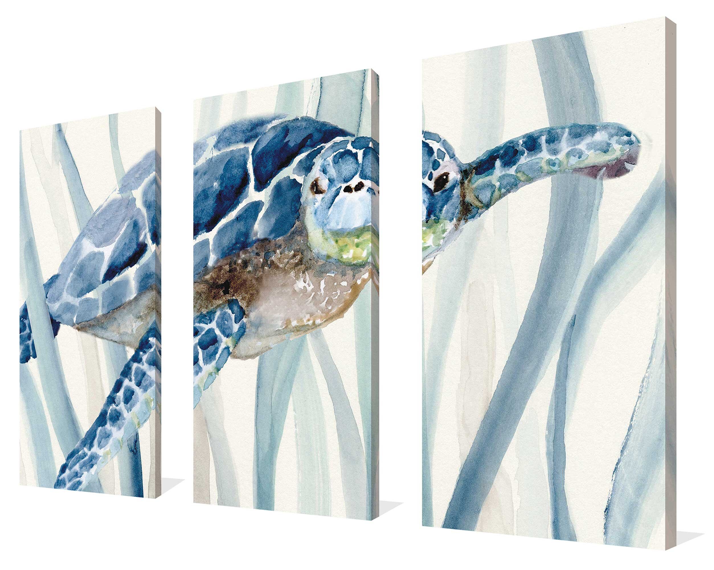 Bay Isle Home Turtle In Seagrass I by Nan - 3 Piece Wrapped Canvas ...