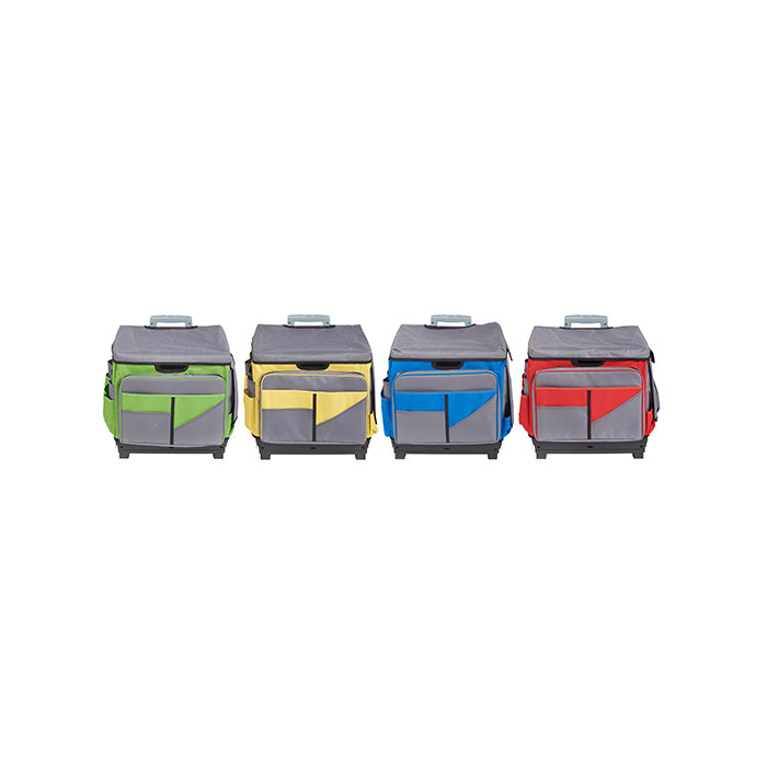 Universal Rolling Cart And Organizer Bag