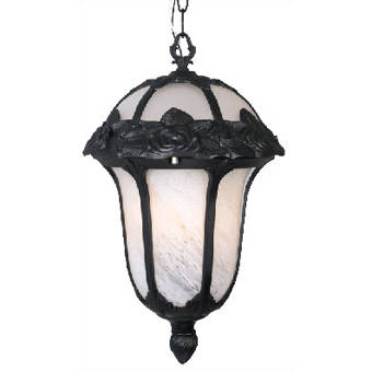 Alcott Hill Petrey 1 Light Outdoor Hanging Lantern Wayfair