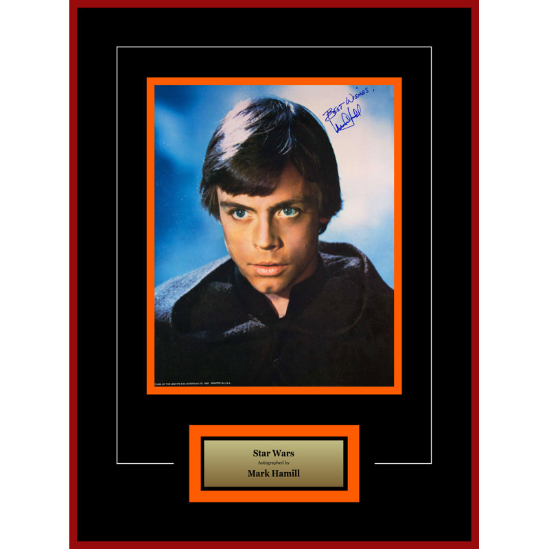 Luxewest Star Wars Mark Hamill As Luke Skywalker Autographed Artist Series Photograph Wayfair