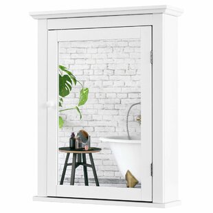 Wall Mounted Mirror Cabinet Wayfair