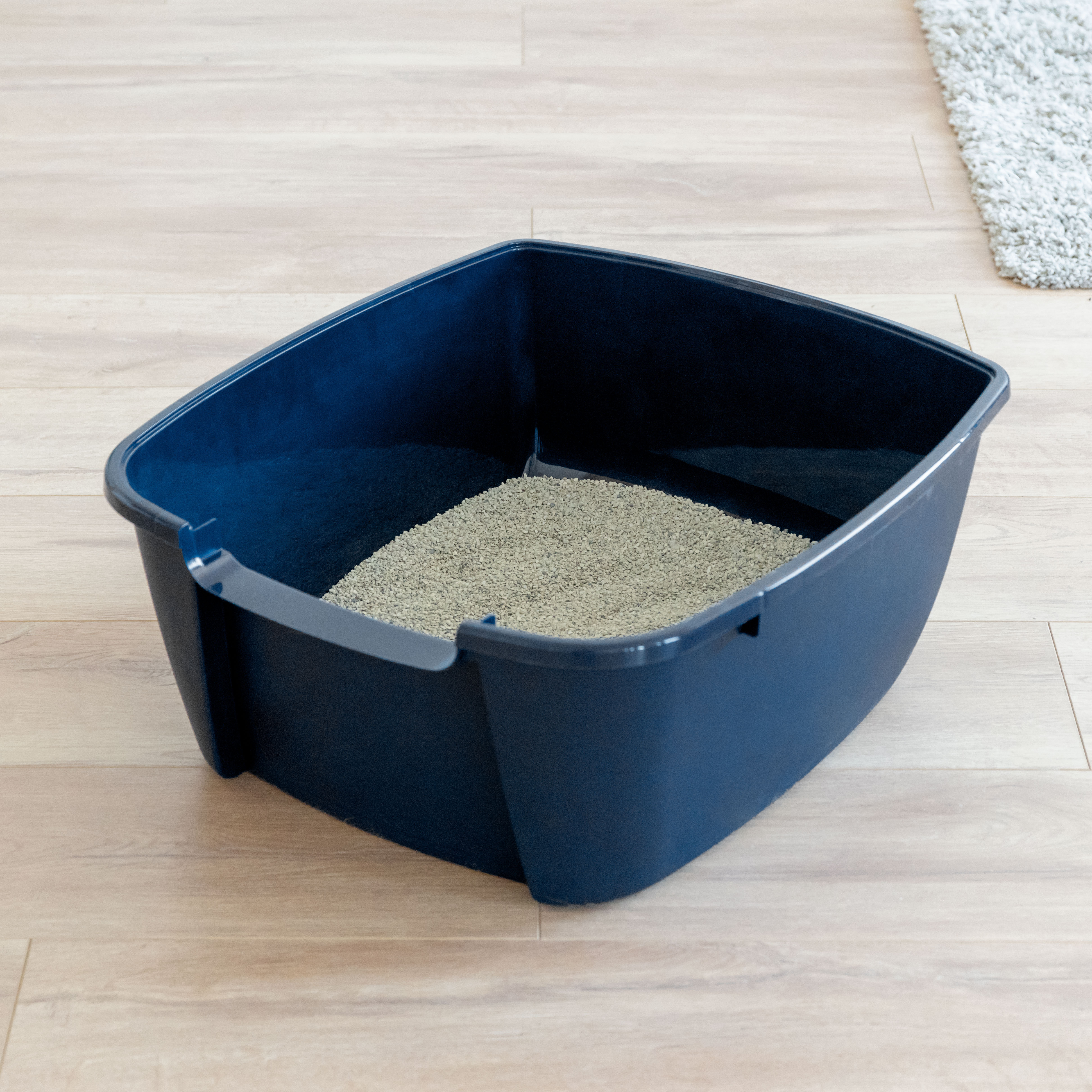 alfonso kitty litter box