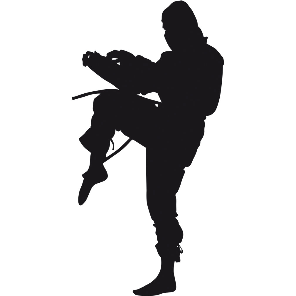 Wet Paint Printing Ninja Silhouette Cardboard Standup Wayfair