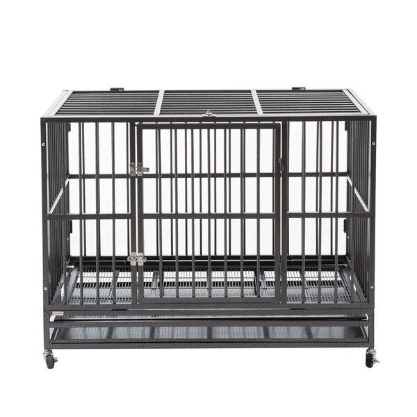 heavy duty dog crate for sale