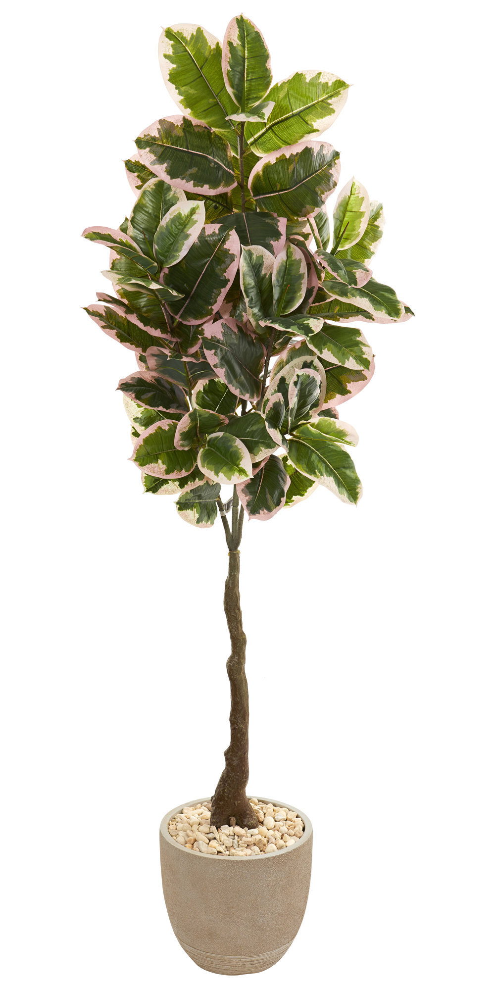 Alcott Hill Artificial Rubber Leaf Tree In Pot Wayfair