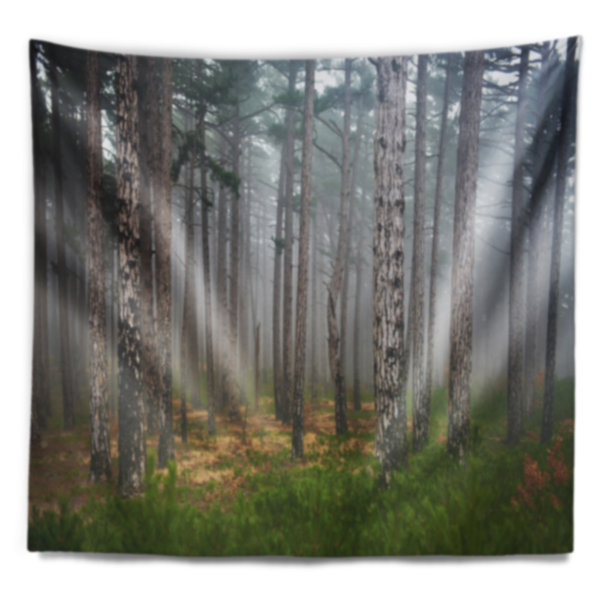 Bless international Dense Misty Forest Tapestry | Wayfair