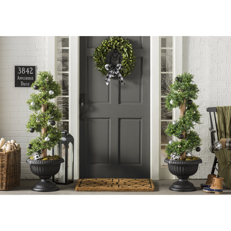 Boxwood Topiary In Pot Reviews Joss Main