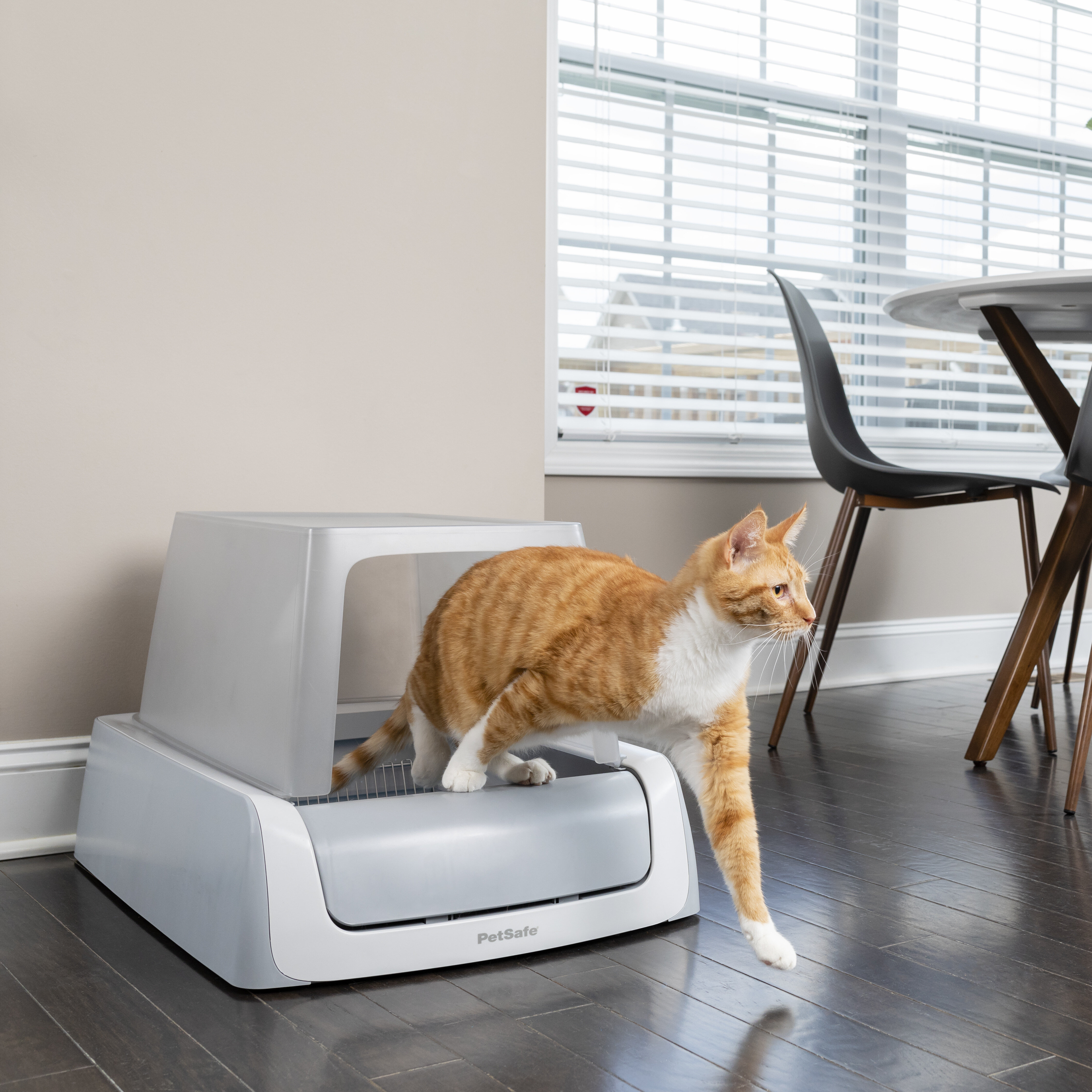 scoopfree litter box tray