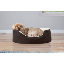 oval dog bed