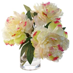 Blushing Cream Peony Floral