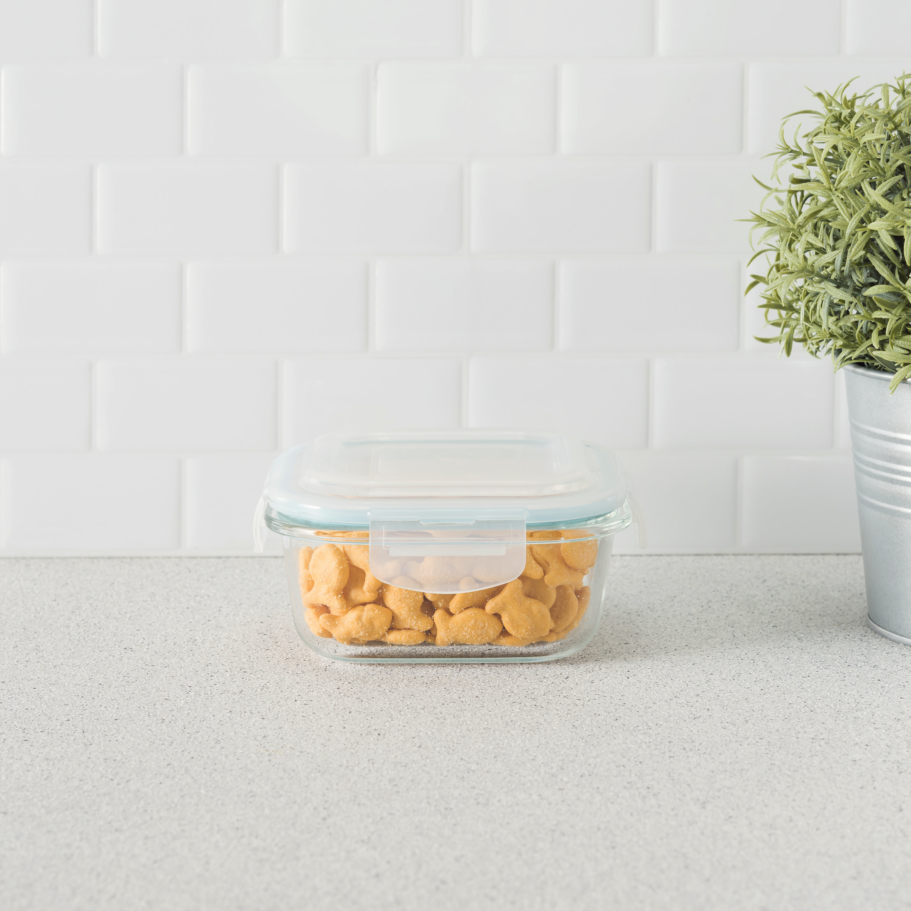 glass dog food storage