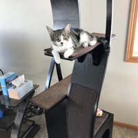 69 cleopatra cat tree