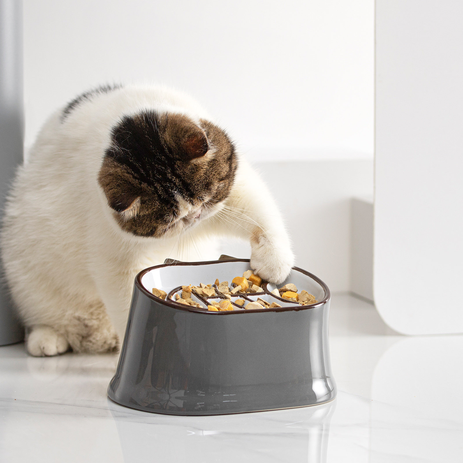Cat Feeder 2PCS Slow Feeder Cat Bowl, Raised Cat Bowl Improved
