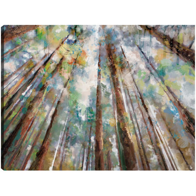 Forest Colors by Studio Arts Canvas Art Print