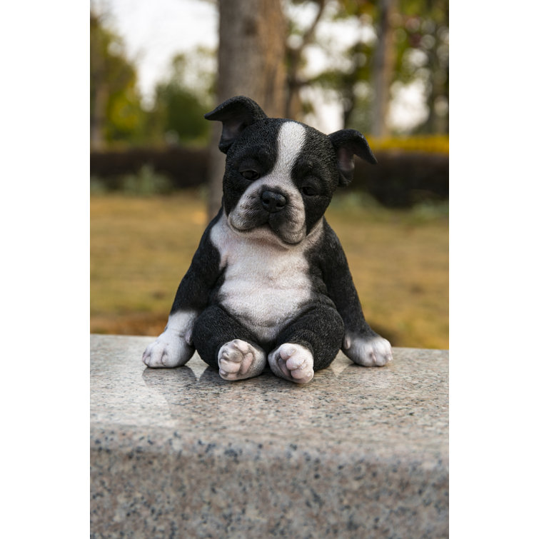 Pet Buddy Online Amazing Boston Terrier Black Sneakers for Kids 