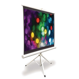 50 Inch Projector Screen Pull Down 
