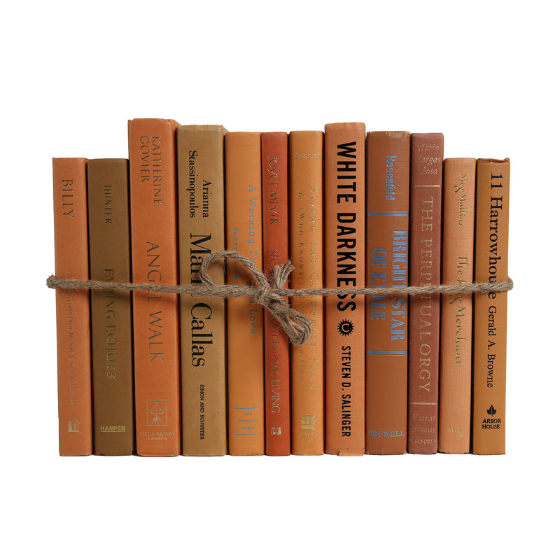 Authentic Decorative Books By Color Modern Canyon Colorpak 1 Linear Foot 10 12 Books Reviews Birch Lane