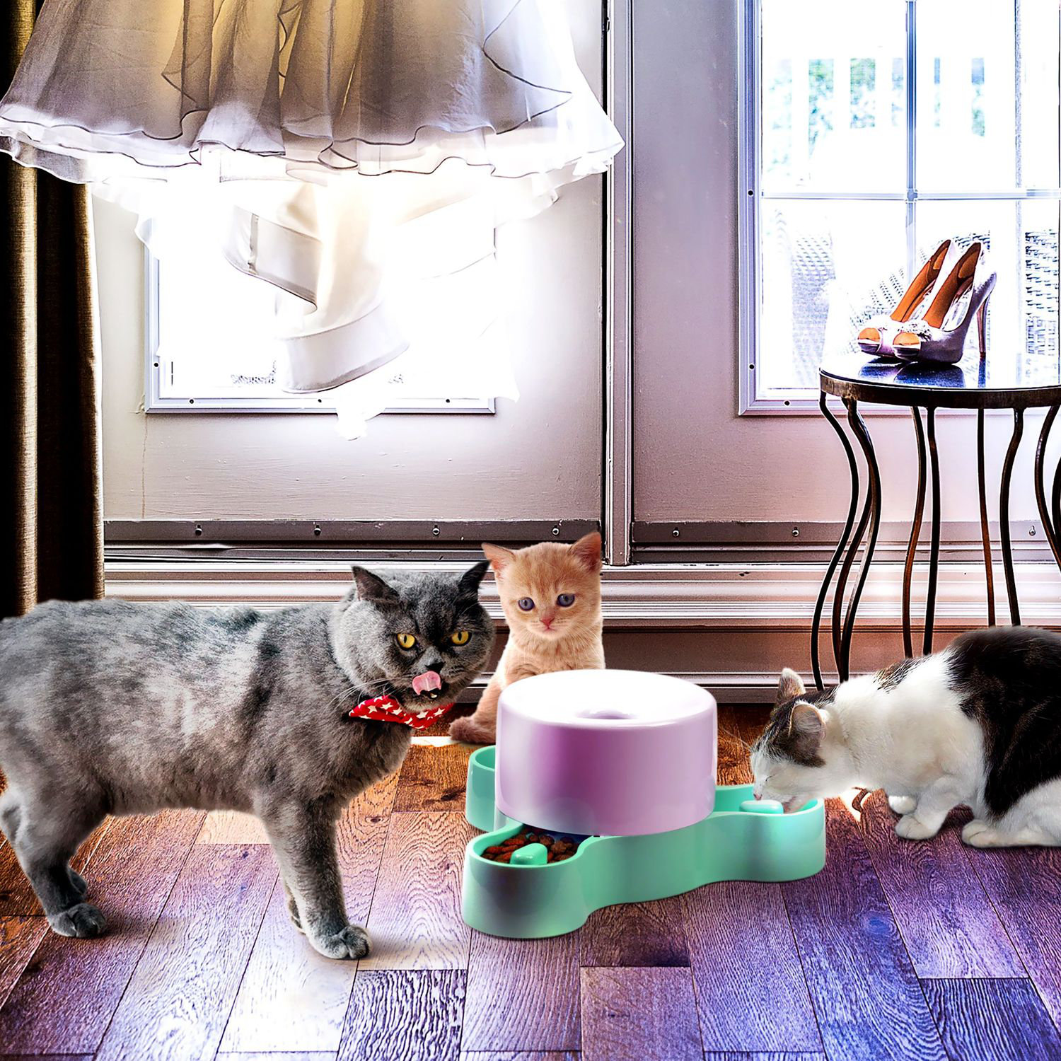 Fluffy Paws Microbefence Technology Slow Feeder Wayfair