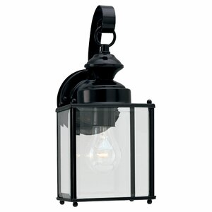 Amesville 1-Light Outdoor Wall Lantern