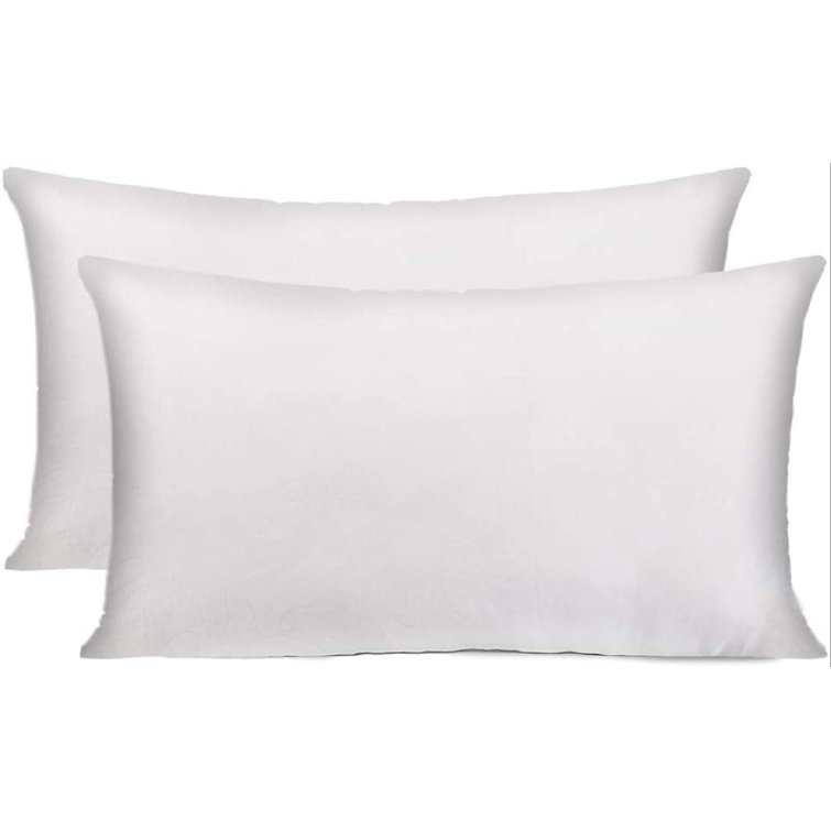 20 inch down pillow insert