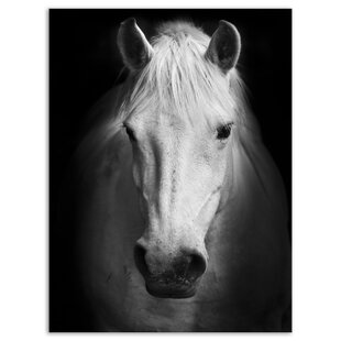 Black And White Horse Prints Wayfair