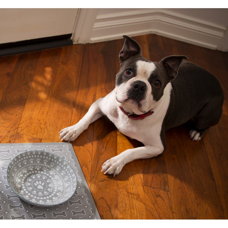 shallow puppy bowl