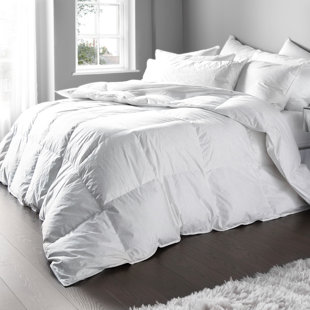 Euroquilt Wayfair Co Uk Allerban Microfiber 10 5 Tog Duvet