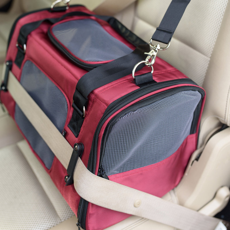wayfair pet carrier