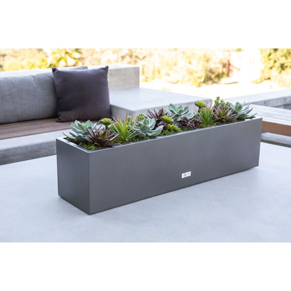 Metallic Series Galvanized Steel Window Box Planter & Reviews | AllModern