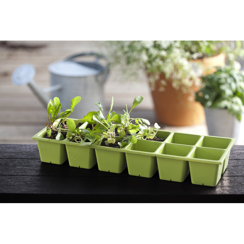 Keter Urban Bloomer 1 2 Ft X 3 Ft Plastic Raised Garden Reviews Wayfair