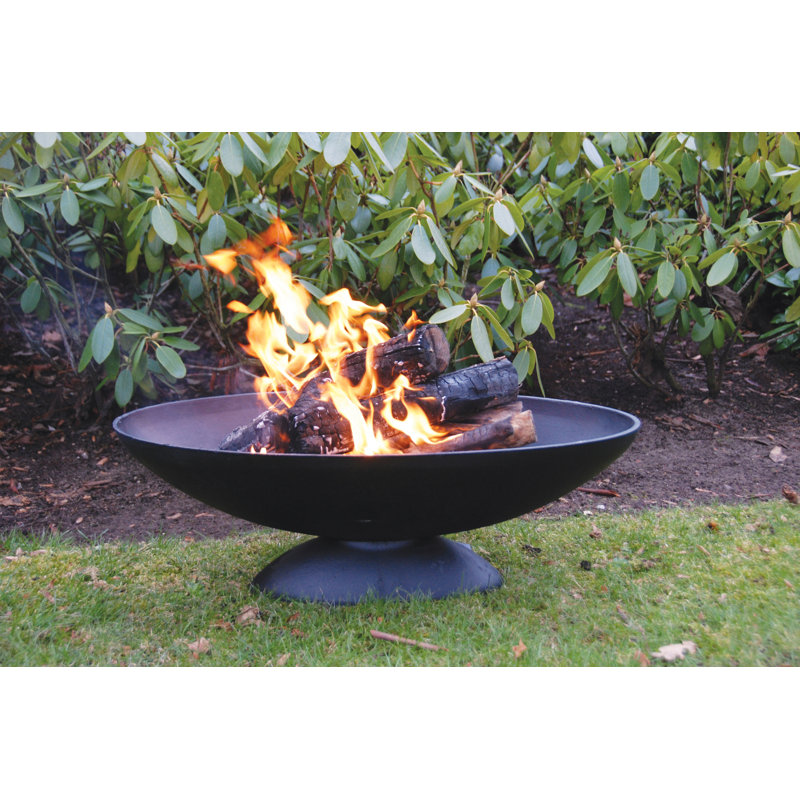 Union Rustic Fancy Flames Cast Iron Wood Fire Pit Reviews