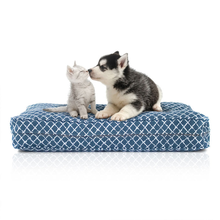 Tucker Murphy Pet Bullins Livesmart Orthopedic Dog Bed Pillow