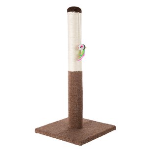 Pedy Kitten Cat Scratcher Scratching Post Scratch Pole with Butterfly Interactive Cat Toy 19.3 inches 